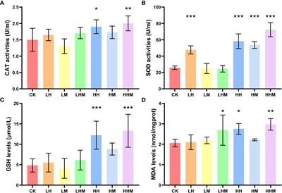 RNA sequencing provides insights into the effect of dietary ingestion of microplastics and cadmium in the sea cucumber Apostichopus japonicus